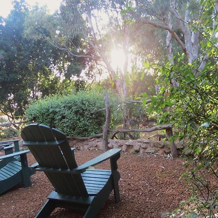 Bentwood Olive Grove Accommodation Greenough Phòng bức ảnh