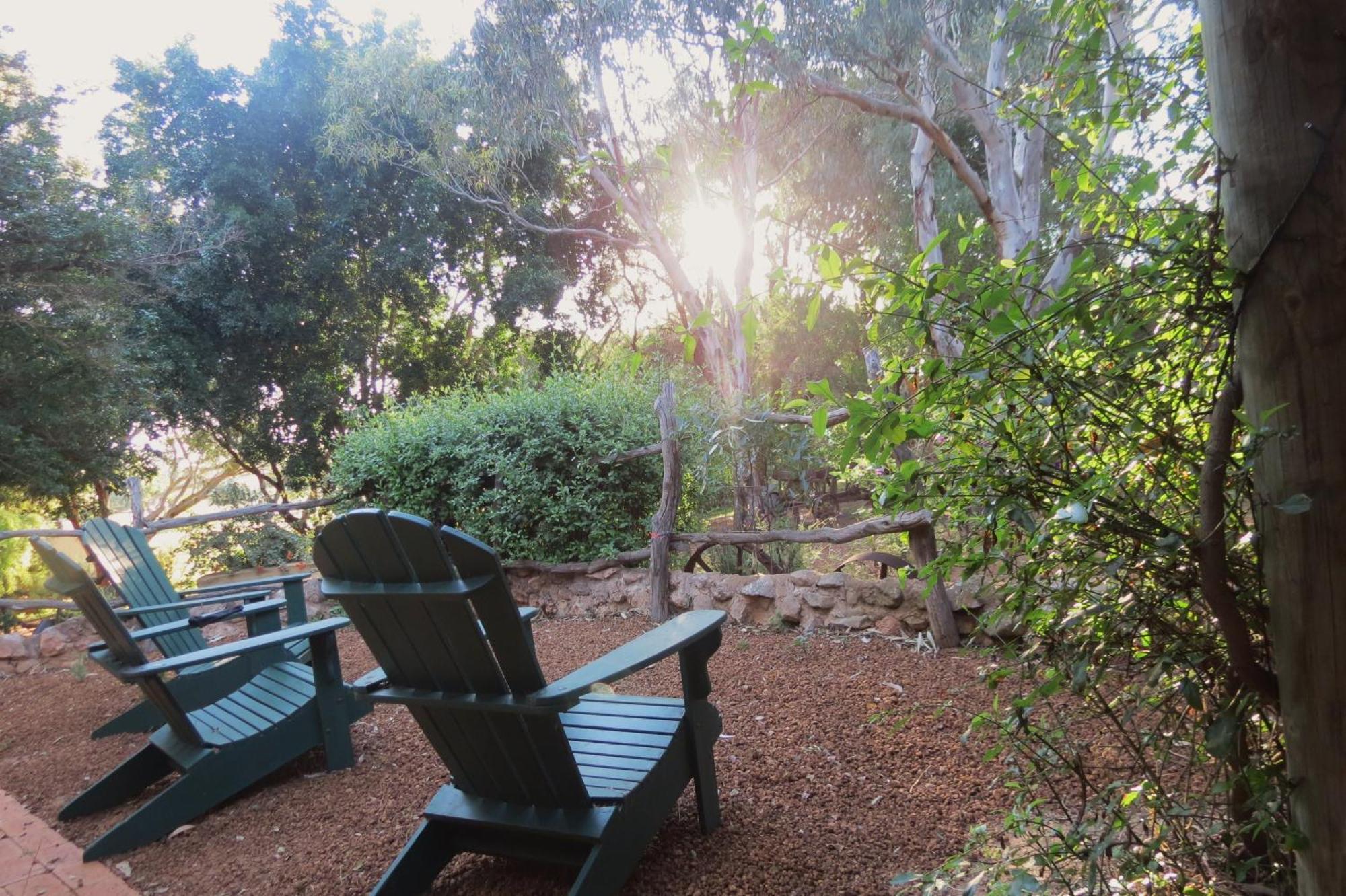 Bentwood Olive Grove Accommodation Greenough Phòng bức ảnh