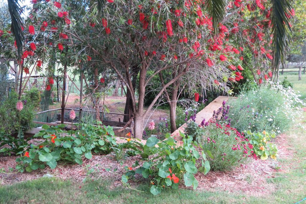 Bentwood Olive Grove Accommodation Greenough Phòng bức ảnh