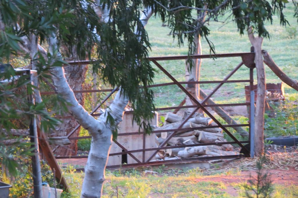 Bentwood Olive Grove Accommodation Greenough Phòng bức ảnh